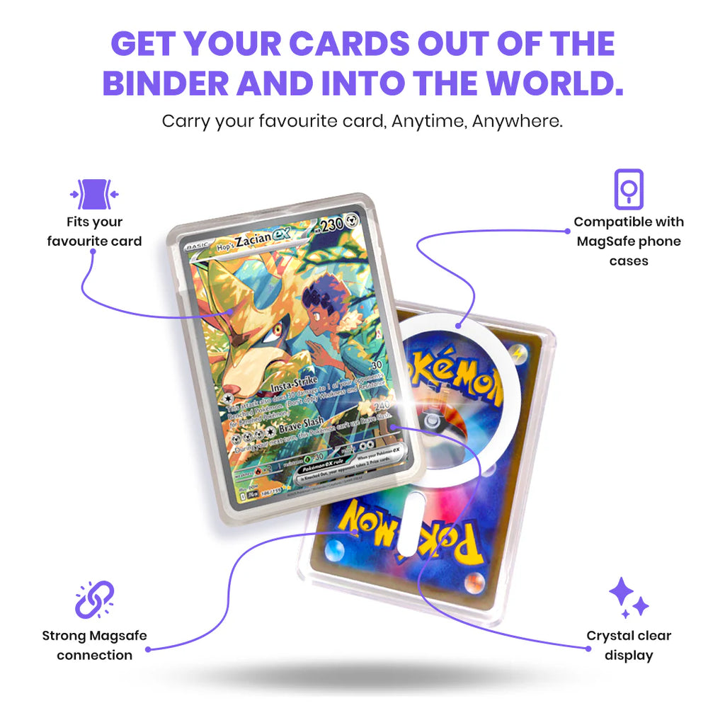 Trainer Case Display