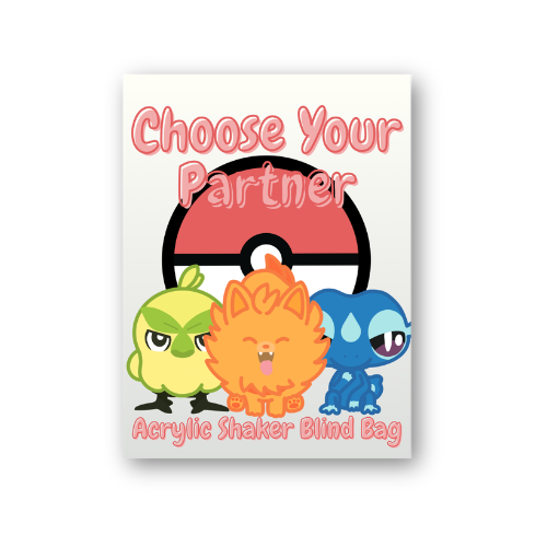 Acrylic Shaker Blind Bag